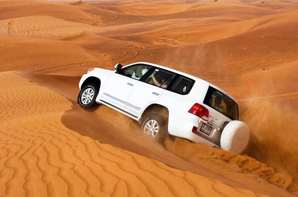 Desert safari guests enjoying the dunes