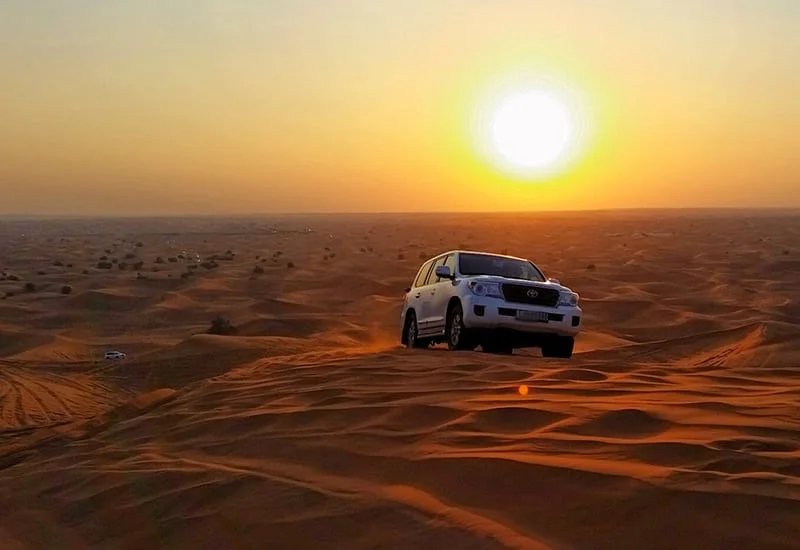 Morning desert safari camel ride at sunrise