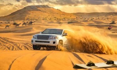 Morning Desert Safari