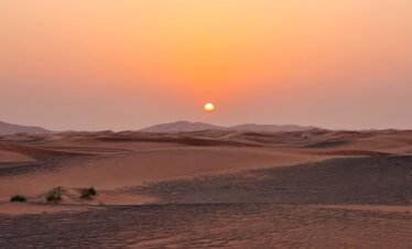 Morning Desert Safari