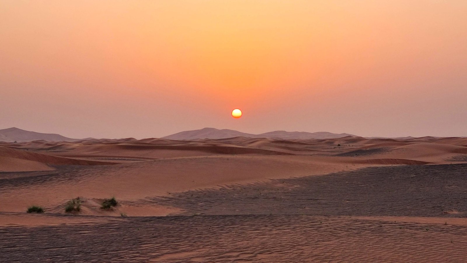 Morning Desert Safari