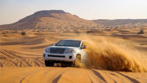 Morning Desert Safari Abu Dhabi