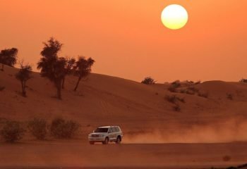 Evening Desert Safari